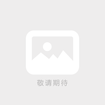 定制特殊电磁铁